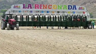 Un nieto de Into Mischief se estrena en La Rinconada con trabajos previos muy interesantes Un nieto de Into Mischief se estrena en La Rinconada con trabajos previos muy interesantes