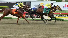 Primer retirado: Este ejemplar estaba inscrito para el 5y6 de la reunión 44