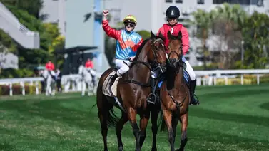 Ka Ying Rising vuele a la escena par la Jockey Club Sprint (Gr.2) Ka Ying Rising vuele a la escena par la Jockey Club Sprint (Gr.2)