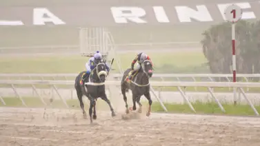 Hay tubería: Cuidado con éste que a pesar de reaparecer si llueve el domingo ya ganó Hay tubería: Cuidado con éste que a pesar de reaparecer si llueve el domingo ya ganó