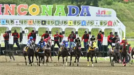 La Rinconada: Debuta este domingo un hijo del Triplecoronado King Angelus