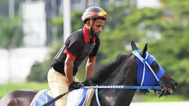 Yonkleiver Díaz tiene la "fórmula perfecta" para visitar al recinto de ganadores con estas montas en la R44 Yonkleiver Díaz tiene la "fórmula perfecta" para visitar al recinto de ganadores con estas montas en la R44