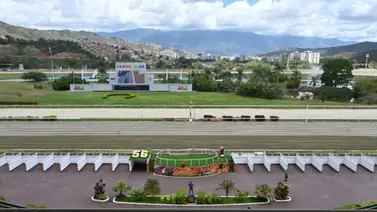 Desde La Rinconada: Esto fue lo que dijo el jinete con experiencia en México y Japón al equipo de Meridiano Web Desde La Rinconada: Esto fue lo que dijo el jinete con experiencia en México y Japón al equipo de Meridiano Web