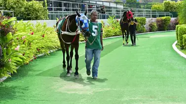 Modificación en el 5y6: Retiro deja con 11 ejemplares la primera válida en La Rinconada Modificación en el 5y6: Retiro deja con 11 ejemplares la primera válida en La Rinconada