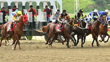 Confianza: Mira lo que dijo el jockey del ejemplar que es considerado tubería para el 5y6 dominical Confianza: Mira lo que dijo el jockey del ejemplar que es considerado tubería para el 5y6 dominical
