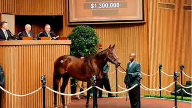 Pedro Lanz agente venezolano bajó el martillo por un ganador de pruebas de grado en $1.300.000 Pedro Lanz agente venezolano bajó el martillo por un ganador de pruebas de grado en $1.300.000