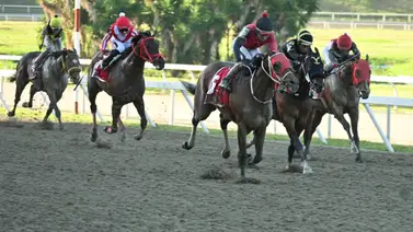 Al momento de sellar toma en cuenta el ajuste de la línea de Gaceta Hípica previo al Clásico Nuestra Señora de Chiquinquirá Al momento de sellar toma en cuenta el ajuste de la línea de Gaceta Hípica previo al Clásico Nuestra Señora de Chiquinquirá