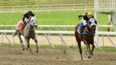 El as bajo la manga: Mira el ajuste de la gran opción de Gaceta Hípica que se convierte en la jugada clave para el 5y6 dominical El as bajo la manga: Mira el ajuste de la gran opción de Gaceta Hípica que se convierte en la jugada clave para el 5y6 dominical