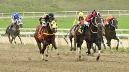 Así quedó el ajuste contenido de una sorpresa de Gaceta Hípica para el decisivo cierre del 5y6 dominical