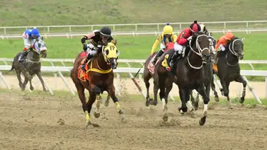 Así quedó el ajuste contenido de una sorpresa de Gaceta Hípica para el decisivo cierre del 5y6 dominical Así quedó el ajuste contenido de una sorpresa de Gaceta Hípica para el decisivo cierre del 5y6 dominical