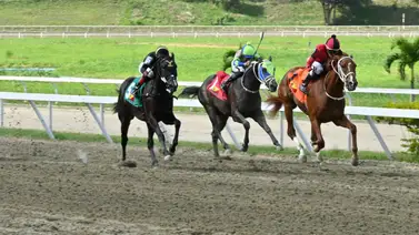Potro listo para la batalla: Ajusta cómodo y busca el golpe en La Rinconada Potro listo para la batalla: Ajusta cómodo y busca el golpe en La Rinconada