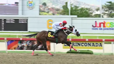 No inventes: Esta potra es la fija indiscutible gracias a su ajuste fenomenal en La Rinconada No inventes: Esta potra es la fija indiscutible gracias a su ajuste fenomenal en La Rinconada