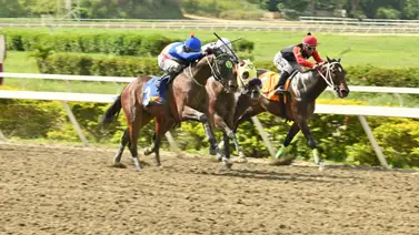 ¡Es contigo! El ajuste secreto que nadie tiene y que puede traer un millonario 5y6 en La Rinconada ¡Es contigo! El ajuste secreto que nadie tiene y que puede traer un millonario 5y6 en La Rinconada