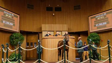 Bishops Bay con una venta de $1.300.000 encabezó las ventas de Caballos de Carreras en Keeneland Bishops Bay con una venta de $1.300.000 encabezó las ventas de Caballos de Carreras en Keeneland