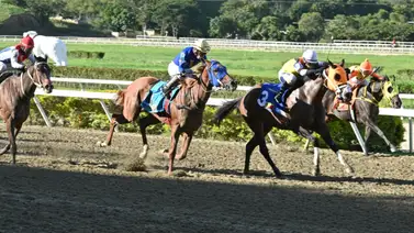 El ajuste de la esperanza: La yegua nacional que sueña con superar a la importada en la pista de La Rinconada El ajuste de la esperanza: La yegua nacional que sueña con superar a la importada en la pista de La Rinconada