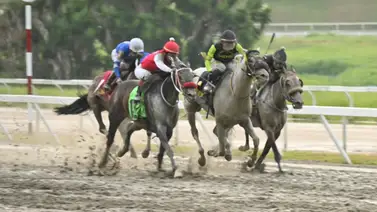 ¡Entre 14 yeguas y 15 mil datos! El ajuste contenido que impone la lógica en los acumulados de La Rinconada ¡Entre 14 yeguas y 15 mil datos! El ajuste contenido que impone la lógica en los acumulados de La Rinconada