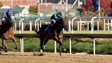 ¡Increíble! Ejemplar rescatado de un matadero metió un galope con Irad Ortiz Jr ¡Increíble! Ejemplar rescatado de un matadero metió un galope con Irad Ortiz Jr