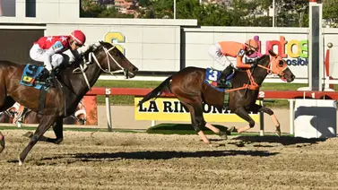 Lo que todos quieren: El 'robo de toda Venezuela' del 5y6 viene con la monta de un jinete experimentado Lo que todos quieren: El 'robo de toda Venezuela' del 5y6 viene con la monta de un jinete experimentado