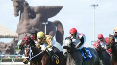 “Win and You're In”: La Pegasus World Cup formará parte de la Serie Challenge Breeders’ Cup “Win and You're In”: La Pegasus World Cup formará parte de la Serie Challenge Breeders’ Cup