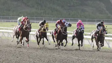 La Rinconada: Datos de Última Hora para el 16-11-2025 La Rinconada: Datos de Última Hora para el 16-11-2025