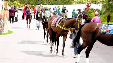 La Rinconada con novedades: Un retiro en el clásico y otro en carrera normal cambian el 5y6 La Rinconada con novedades: Un retiro en el clásico y otro en carrera normal cambian el 5y6