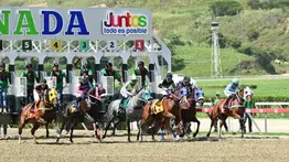 Pronóstico exclusivo: Las fijas que muestran más potencial y la jugada larga que no puede faltar en su 5y6 de la R44