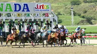 Pronóstico exclusivo: Las fijas que muestran más potencial y la jugada larga que no puede faltar en su 5y6 de la R44 Pronóstico exclusivo: Las fijas que muestran más potencial y la jugada larga que no puede faltar en su 5y6 de la R44