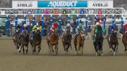 Jinete de talla internacional que montó en Venezuela sufre aparatosa rodada en Nueva York