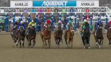 Jinete de talla internacional que montó en Venezuela sufre aparatosa rodada en Nueva York Jinete de talla internacional que montó en Venezuela sufre aparatosa rodada en Nueva York