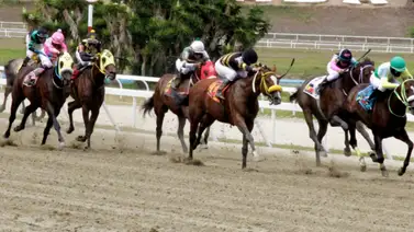 Ausencia en la jornada selectiva: Aprendiz de jinete no participará en la reunión 44 de La Rinconada Ausencia en la jornada selectiva: Aprendiz de jinete no participará en la reunión 44 de La Rinconada