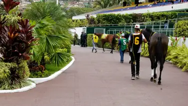 La Rinconada: Estos son los retirados de la reunión N°44 del 16-11-2025 La Rinconada: Estos son los retirados de la reunión N°44 del 16-11-2025