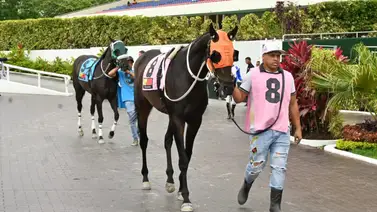 ¡Atención fanáticos! Importante retiro en la cuarta válida del 5y6 en La Rinconada ¡Atención fanáticos! Importante retiro en la cuarta válida del 5y6 en La Rinconada