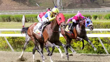 Jinete profesional ganador de más de 40 carreras en la temporada es multado por esta razón en La Rinconada Jinete profesional ganador de más de 40 carreras en la temporada es multado por esta razón en La Rinconada