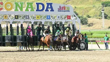 La fiesta selectiva no para: Los clásicos Burlesco y Aviación Militar Bolivariana electrizan la reunión 45 en La Rinconada La fiesta selectiva no para: Los clásicos Burlesco y Aviación Militar Bolivariana electrizan la reunión 45 en La Rinconada