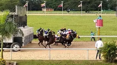 ¡A toda velocidad! El Clásico de los Sprinters lidera la programación de la reunión 23 en Hinava ¡A toda velocidad! El Clásico de los Sprinters lidera la programación de la reunión 23 en Hinava