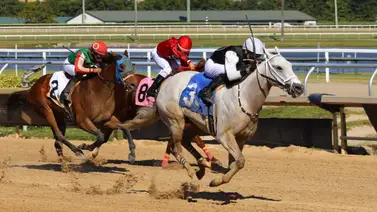 Venezolanos arrasaron en el Sunshine Meet tras ganar ocho carreras en la cartelera Venezolanos arrasaron en el Sunshine Meet tras ganar ocho carreras en la cartelera