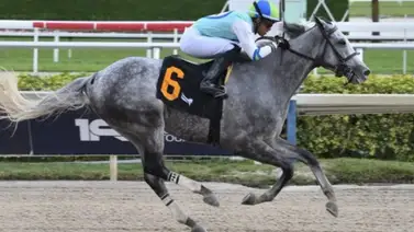 Jinete venezolano está a tiro de conseguir 100 victorias en Estados Unidos Jinete venezolano está a tiro de conseguir 100 victorias en Estados Unidos