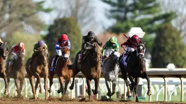 ¡Tírale los binoculares a estos potros! Llegó el debut de los prospectos que tienen grandes expectativas en su primera carrera ¡Tírale los binoculares a estos potros! Llegó el debut de los prospectos que tienen grandes expectativas en su primera carrera