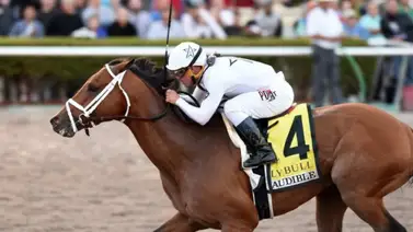 Pedigrí de lujo: Hija de padrillo que produjo más de 2 millones de dólares se estrena en La Rinconada Pedigrí de lujo: Hija de padrillo que produjo más de 2 millones de dólares se estrena en La Rinconada