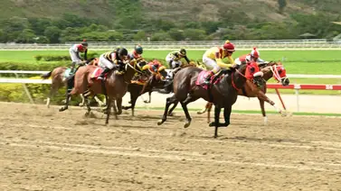 147 días de espera: El purasangre que sorprendió a un importado vuelve al óvalo de Coche 147 días de espera: El purasangre que sorprendió a un importado vuelve al óvalo de Coche