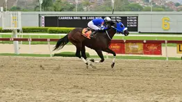 Regreso a toda velocidad: El ejemplar de corta distancia vuelve a La Rinconada