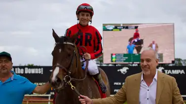 ¡Cada vez más cerca! Junior Alvarado con montas precisas para buscar la cifra histórica en su carrera ¡Cada vez más cerca! Junior Alvarado con montas precisas para buscar la cifra histórica en su carrera