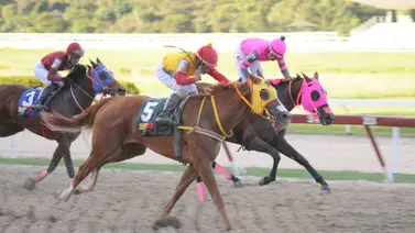 El 'Dato' que regresa: Yegua que siempre agrada vuelve en lote cómodo para la R45 El 'Dato' que regresa: Yegua que siempre agrada vuelve en lote cómodo para la R45