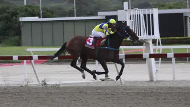 Recuerdos de Supremo: Su linaje se estrena en La Rinconada este fin de semana Recuerdos de Supremo: Su linaje se estrena en La Rinconada este fin de semana