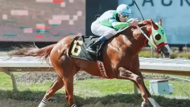 ¡Cabeza a cabeza! José Armando Bracho se lució con dos triunfos esta tarde ¡Cabeza a cabeza! José Armando Bracho se lució con dos triunfos esta tarde
