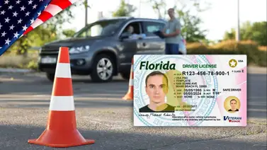 Licencia de conducir en EEUU Licencia de conducir en EEUU