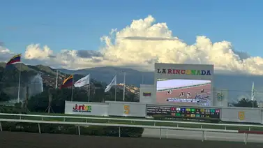 Sangre nueva: Cuatro nuevos yearlings llegan a La Rinconada para fortalecer el calendario hípico nacional Sangre nueva: Cuatro nuevos yearlings llegan a La Rinconada para fortalecer el calendario hípico nacional