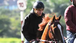 Para Yoelbis González esta yegua tiene mucha expectativa para ganar el Clásico Aviación Militar Bolivariana (GII)