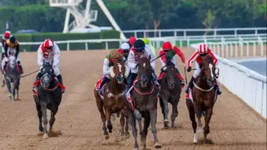 ¡ojo avizor! Estos potros están listos para debutar con sendas victorias ¡ojo avizor! Estos potros están listos para debutar con sendas victorias