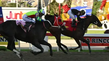 Atención: Todo lo que debes saber sobre el ajuste clave de la línea de Gaceta Hípica para buscar victoria en el 5y6 de la R45 Atención: Todo lo que debes saber sobre el ajuste clave de la línea de Gaceta Hípica para buscar victoria en el 5y6 de la R45